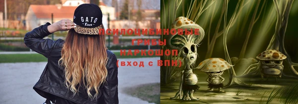 бутират Алексеевка
