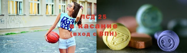 ECSTASY Алзамай