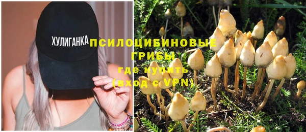 наркотики Алексин