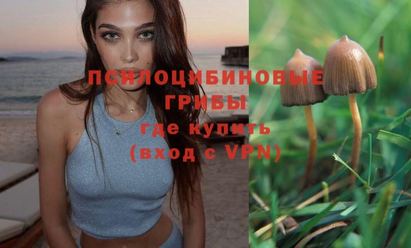 наркотики Алексин