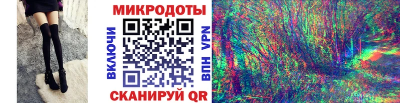 Псилоцибиновые грибы Psilocybe  Оленегорск 